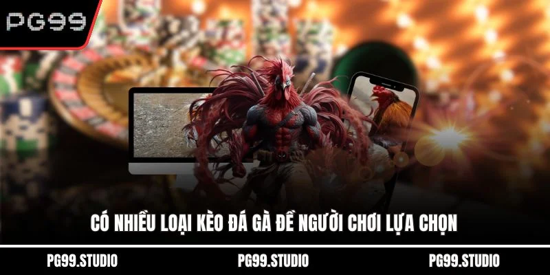 Có nhiều loại kèo đá gà đề người chơi lựa chọn
