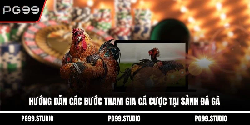 Hướng dẫn các bước tham gia cá cược tại sảnh đá gà